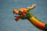 Sea Dragon