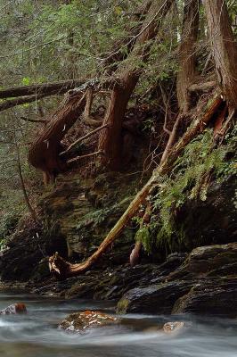 Hunter creek 5s.jpg