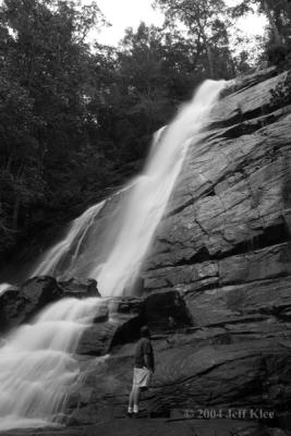 IMG_4290.jpg