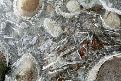 Tieton River Ice Crystals