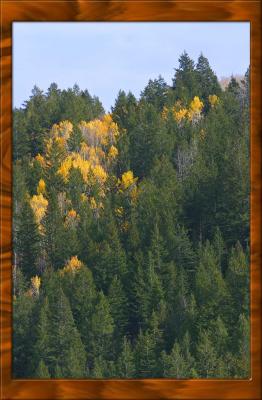 IMG_2829 cteili.jpg