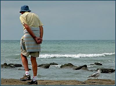 The old man and the gull (1)