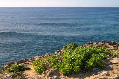 View to Sea