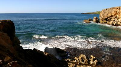 Tidepool