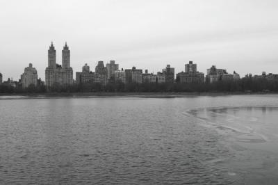 NY0556
