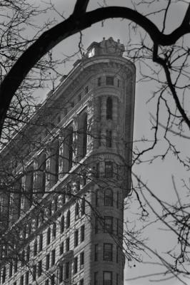 NY0769
