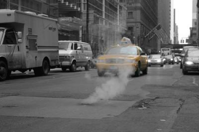 NY0219