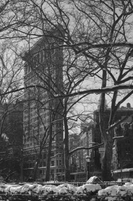 NY0783