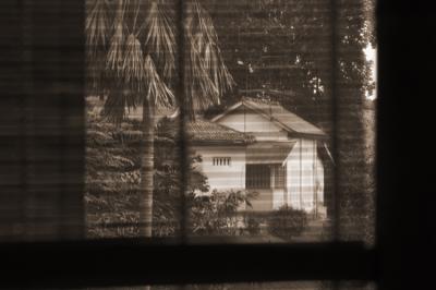 August 10 - old house out back