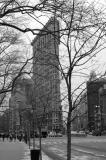 NY0075