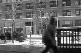 NY0833