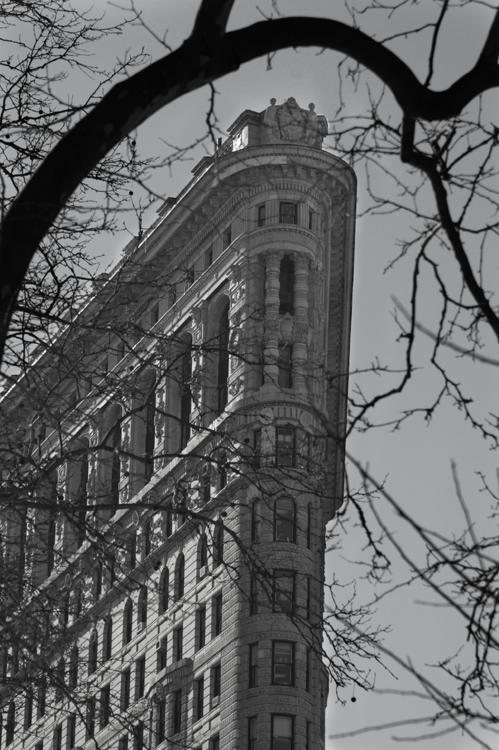 NY0769