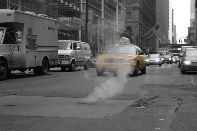 NY0219