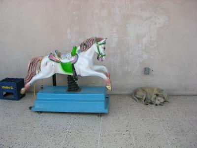 Horse  and dog