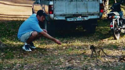 Angkor Roadside Monkeys.JPG