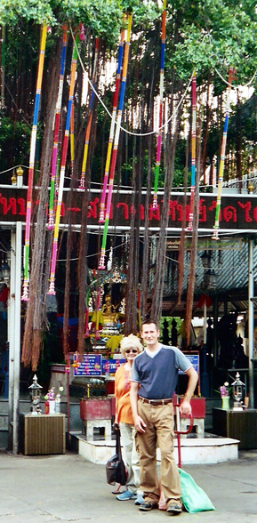 Bangkok Banyon Tree with Streamers.JPG