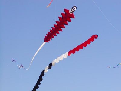 Nelson Kite Festival January 2004