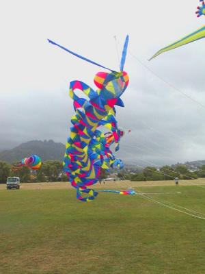 P1180032.jpg