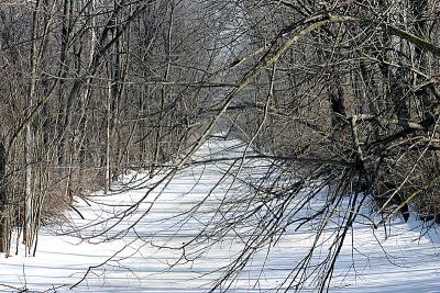 Frozen-River.jpg
