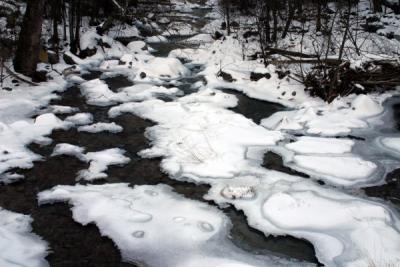 Virginia Winter