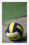 VolleyBall