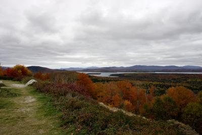 GA7W7826.jpg