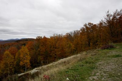 GA7W7829.jpg