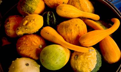 Assorted Squash