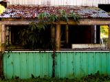 Tree House