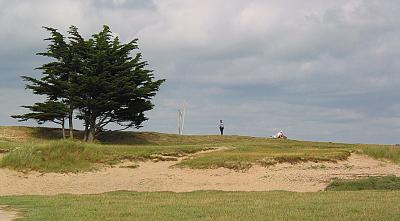 u39/ken_buckle/medium/32465988.CRW_4684C.jpg