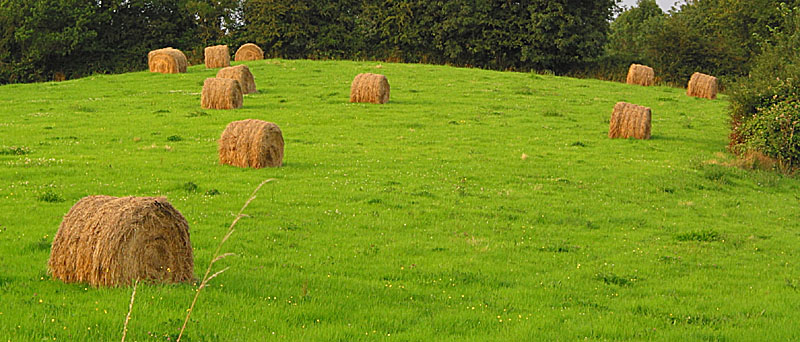 Normandy haybales