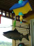 Fishfeeder