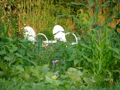 Annie's Garden Chairs