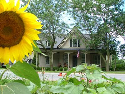 Front with Sunflower