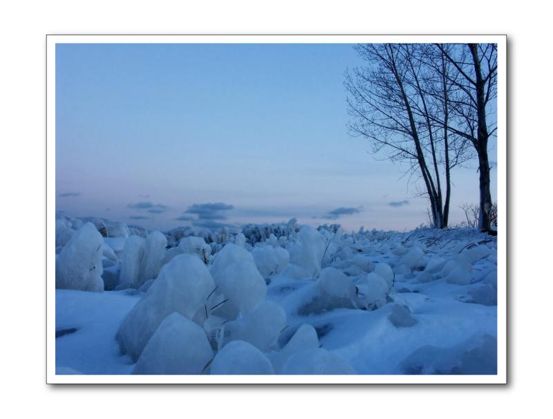 Frozen Twigs