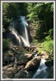 Anna Ruby Falls - and Brook Tight - 1229 copy.jpg