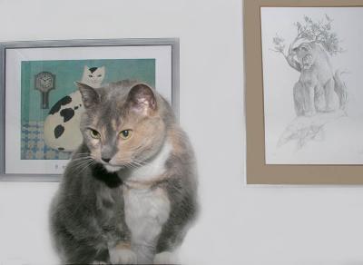Everyone Want to Pass as Cats