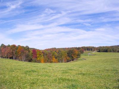 More Fall Colors