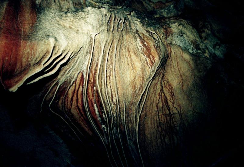 Ceiling feature