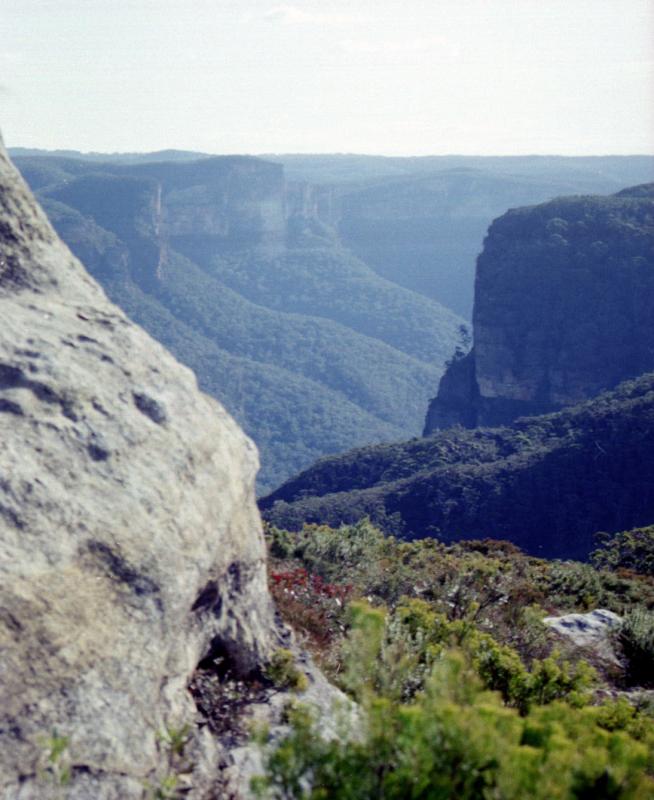 From Mount Banks track - 2