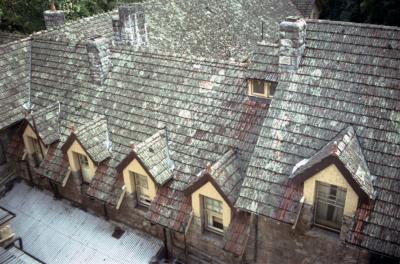 The old roof of Caves House