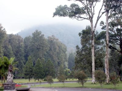 Botanical Gardens, Candikuning