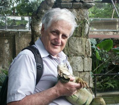 Iguana with tourist