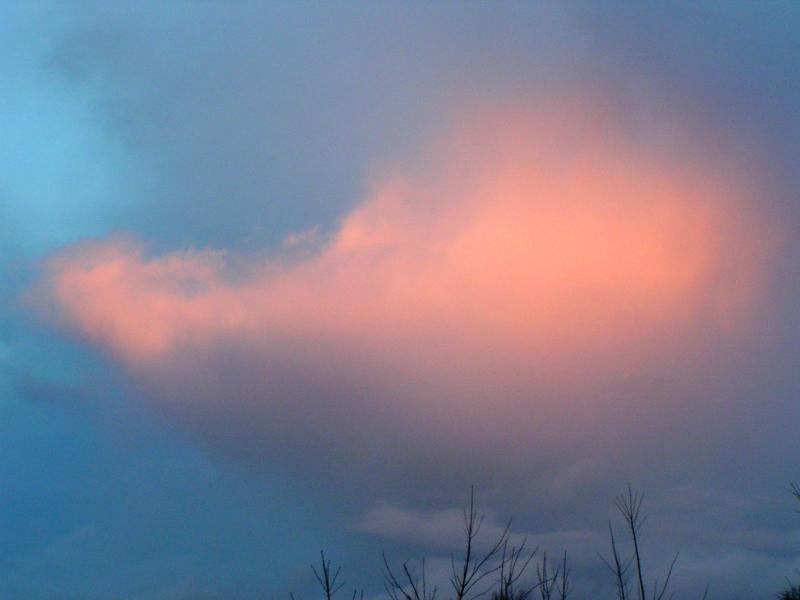 roze wolk