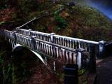 Bridge at Multnomah