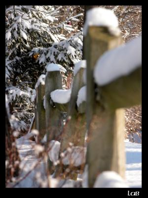 u39/lbonja/medium/40167441.snow5.jpg