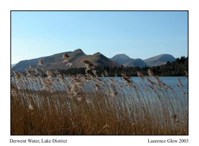 Derwent Water & Reeds