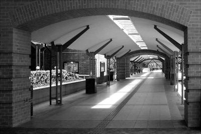 Arches