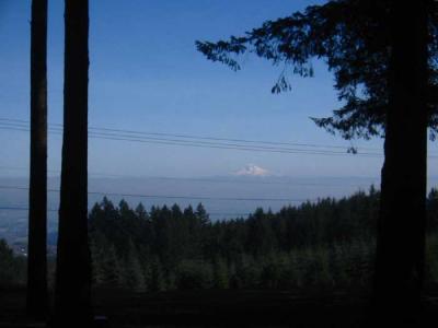 mt-hood-from-bald-peak.jpg