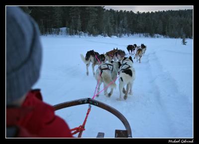 Dog-sled tour